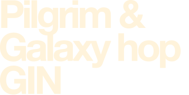 <p>Cider Logo</p>